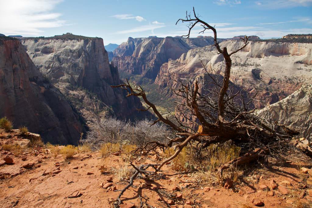 Observation Point