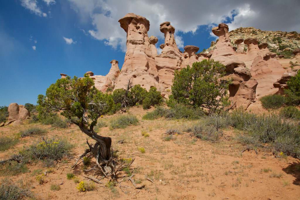 Pinedale Hoodoos