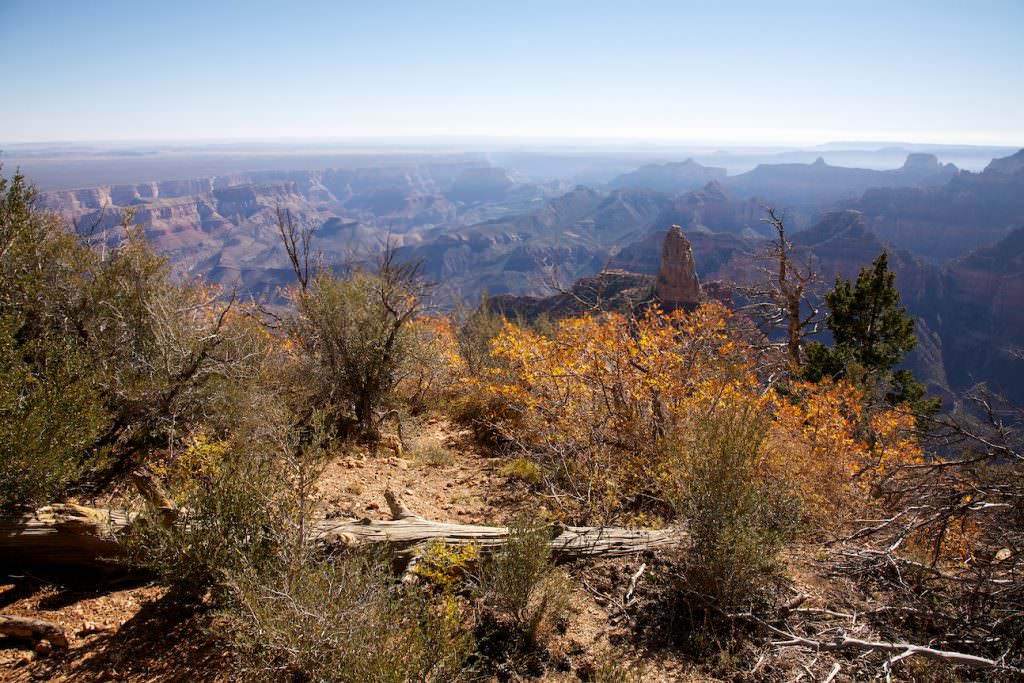 Grand Canyon North Rim