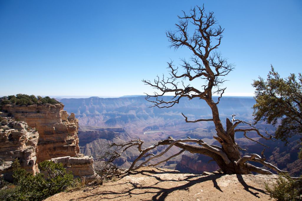 Grand Canyon North Rim