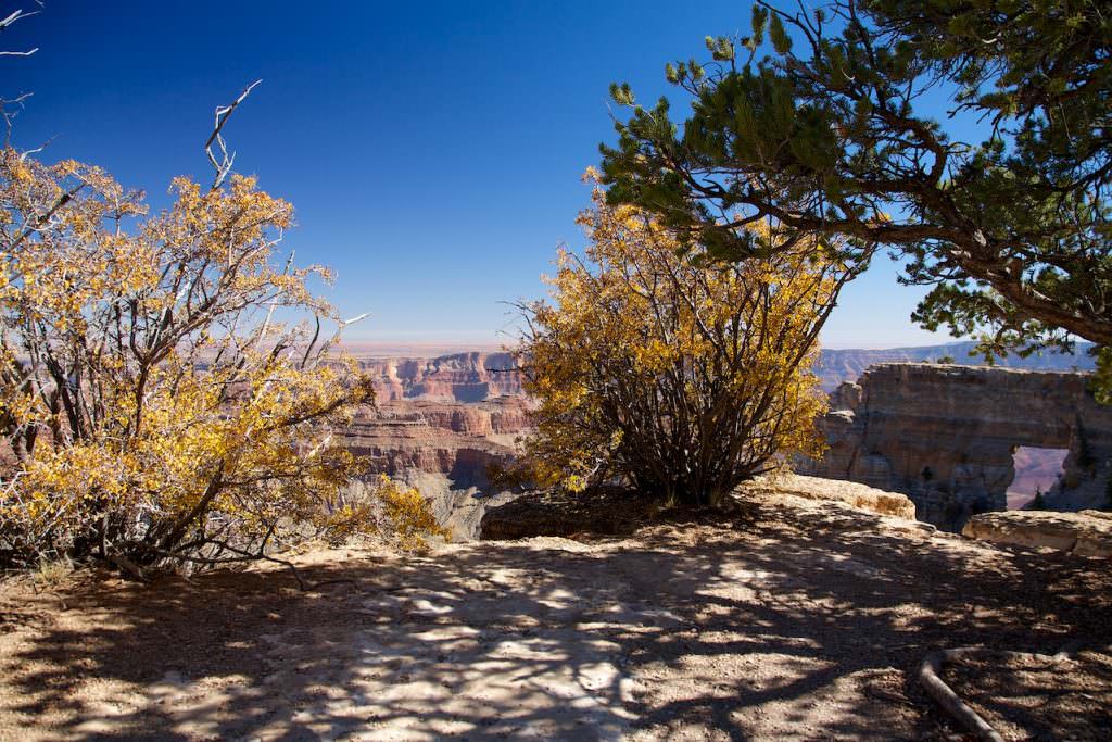 Grand Canon North Rim