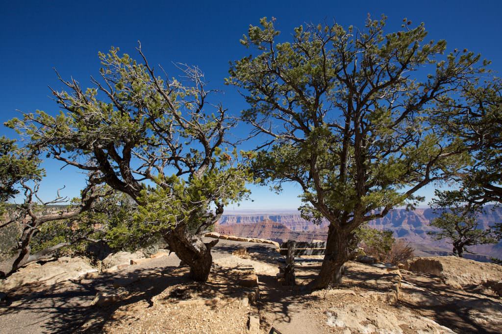 Gran Canyon North Rim