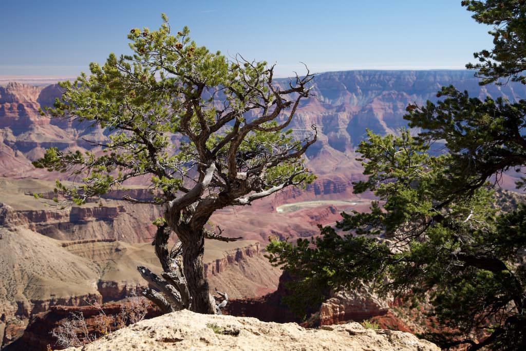 Grand Canyon North Rim