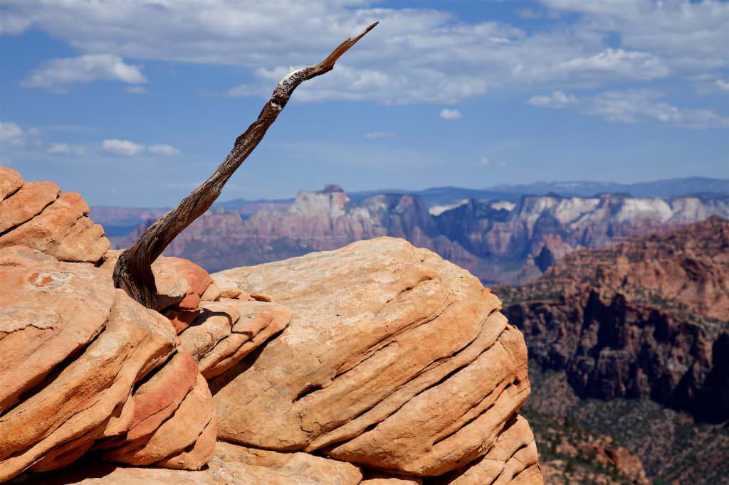 Water Canyon