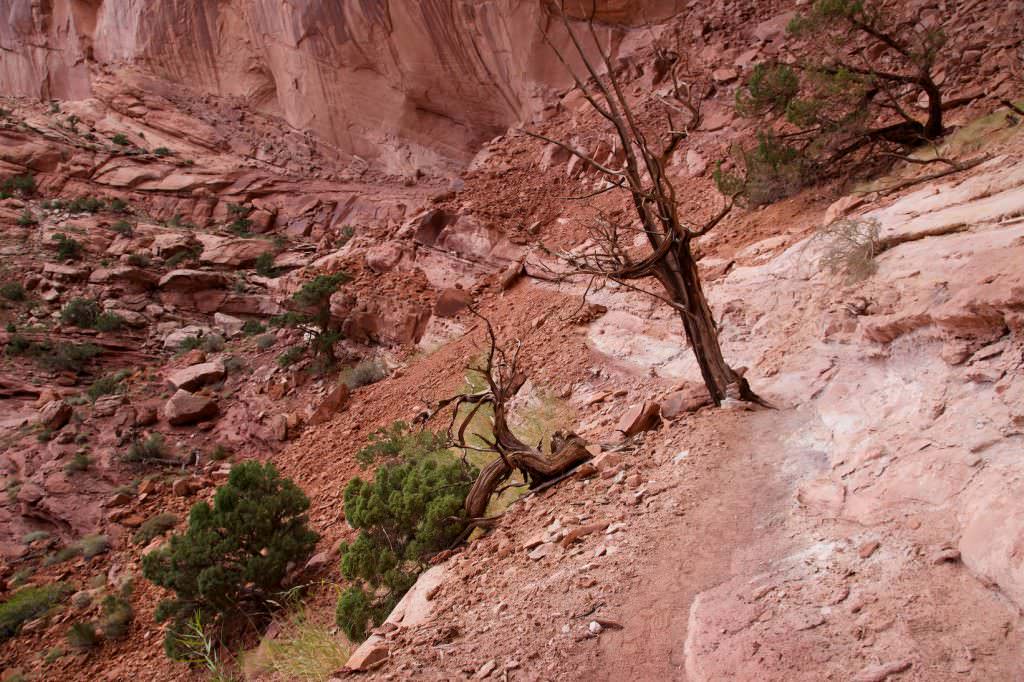 False Kiva Trail