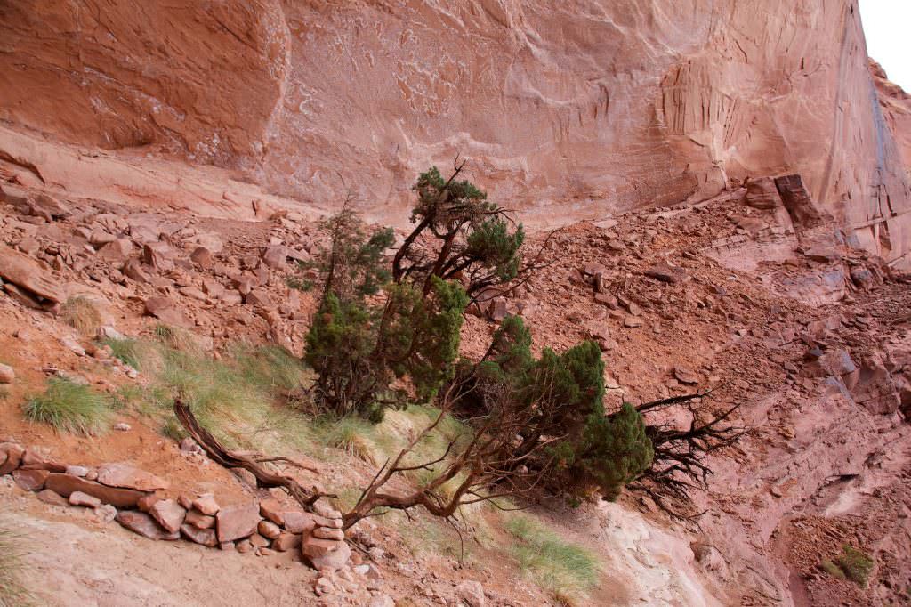 False Kiva Trail