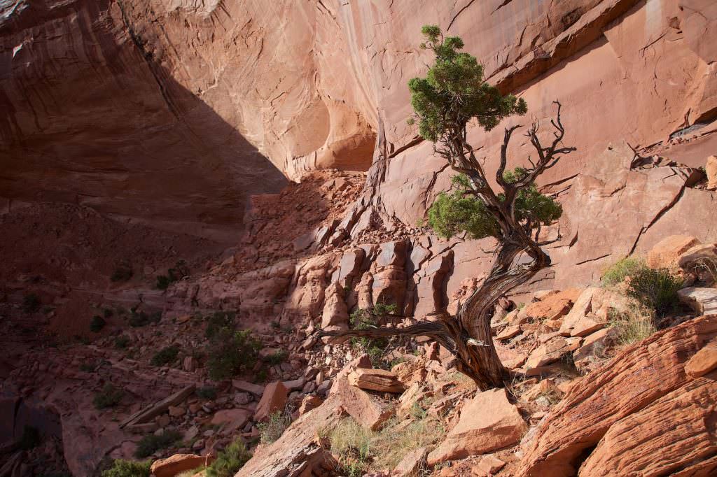 False Kiva Trail