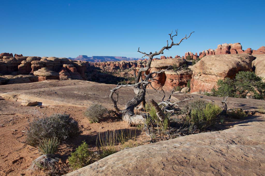 Chesler Park Trail