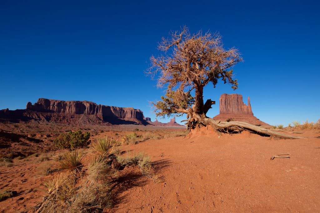 Arizona: Monument Valley