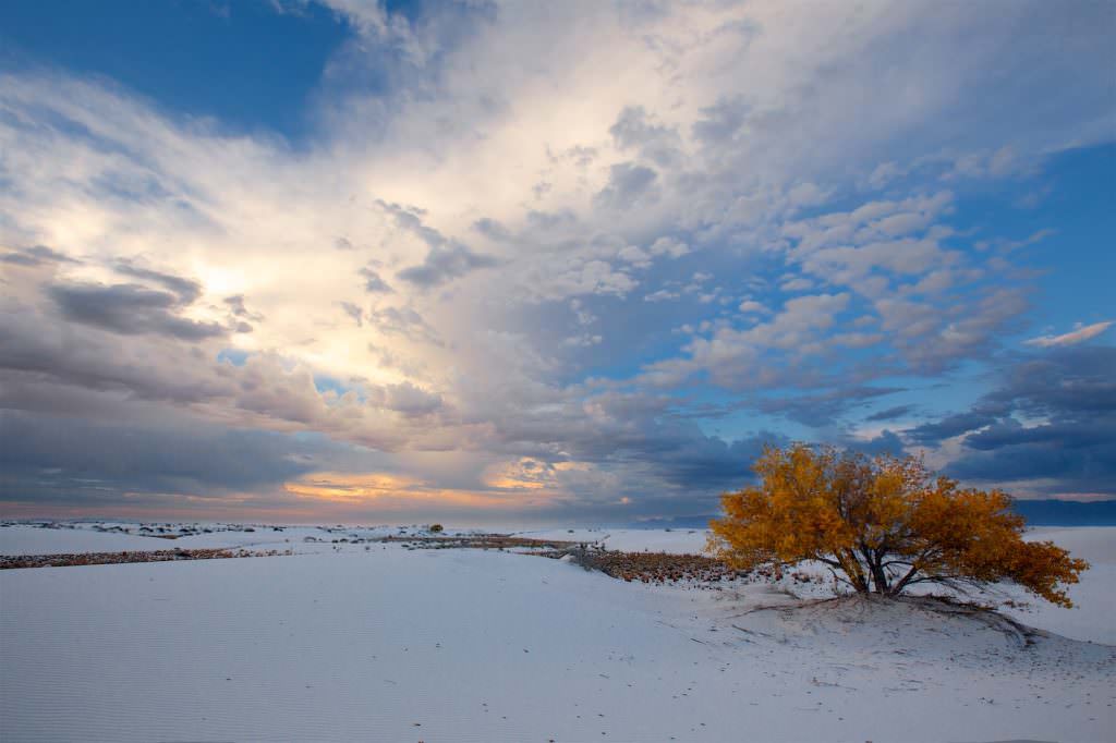 used_Lieblingsfotos_NewMexico_EinzelseiteUSA 2014 Bild 7505