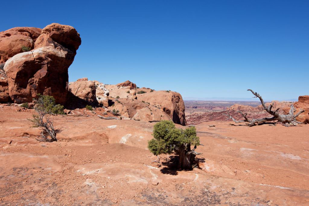 Upheval Dome Tail