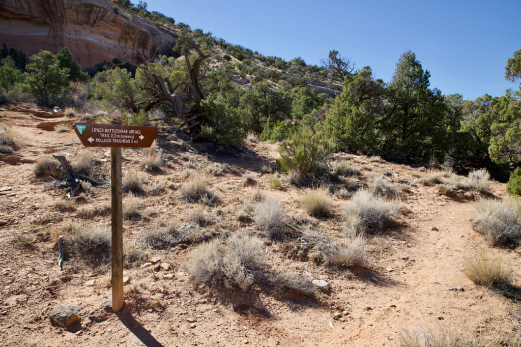 Rattlesnake Canyon Trail