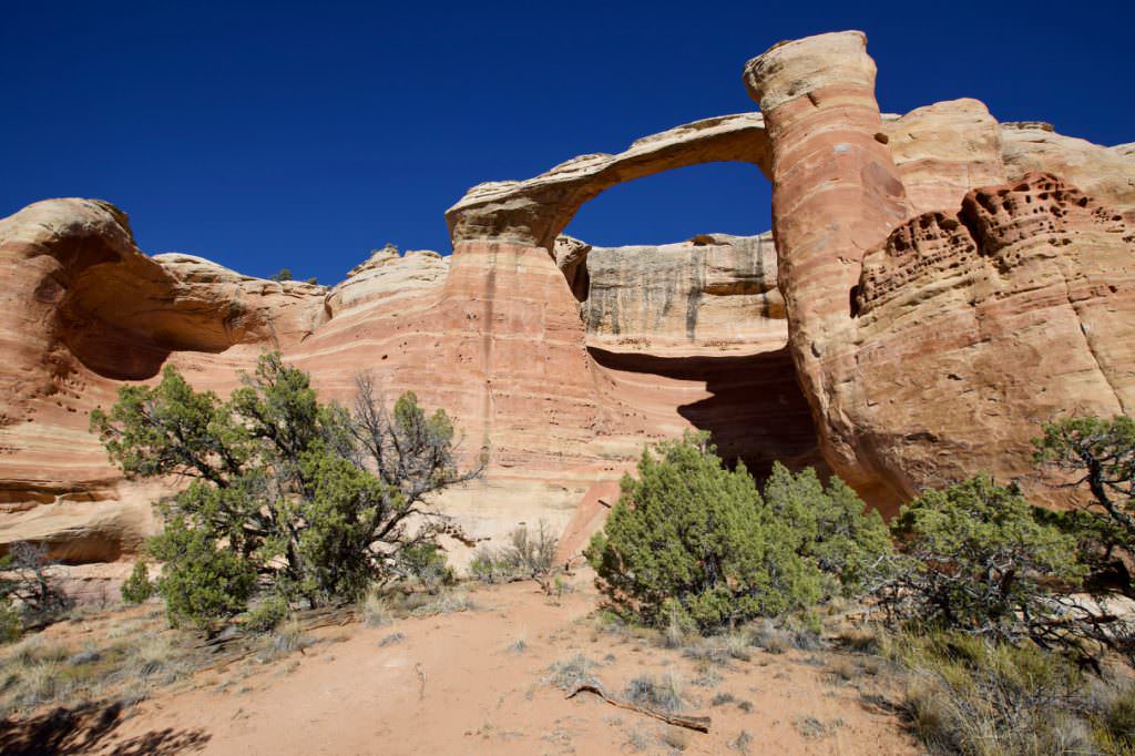 Rattlesnake Canyon Trail