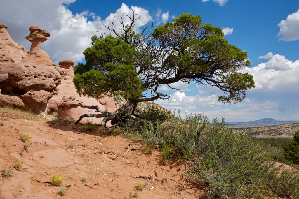 Pinedale Hoodoos