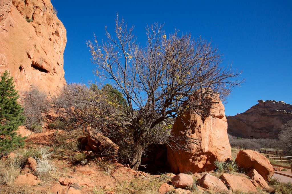 Garden of the Gods