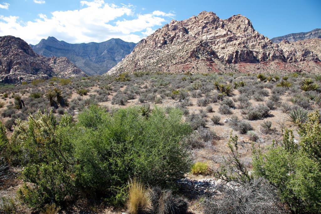 Red Rock Canyon