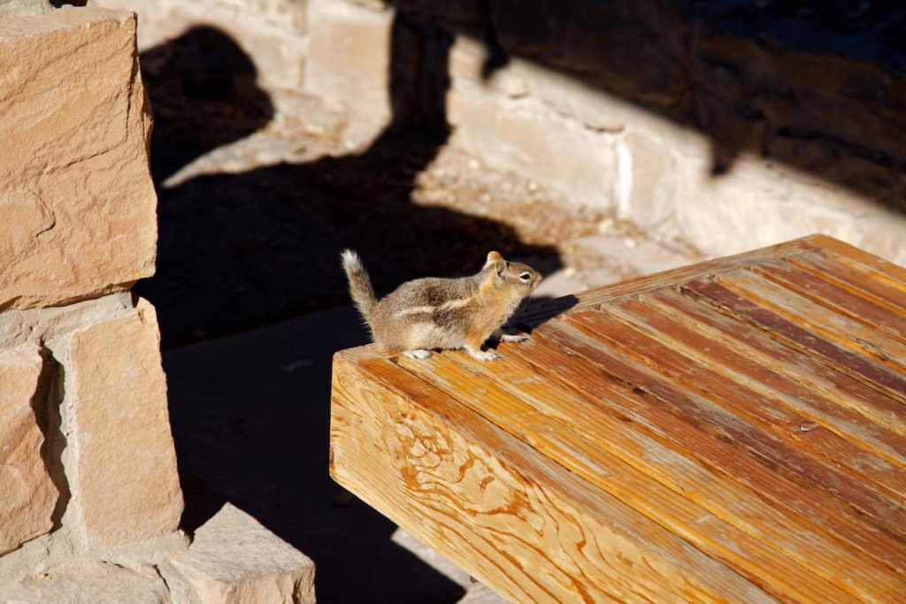 Bryce Canyon NP