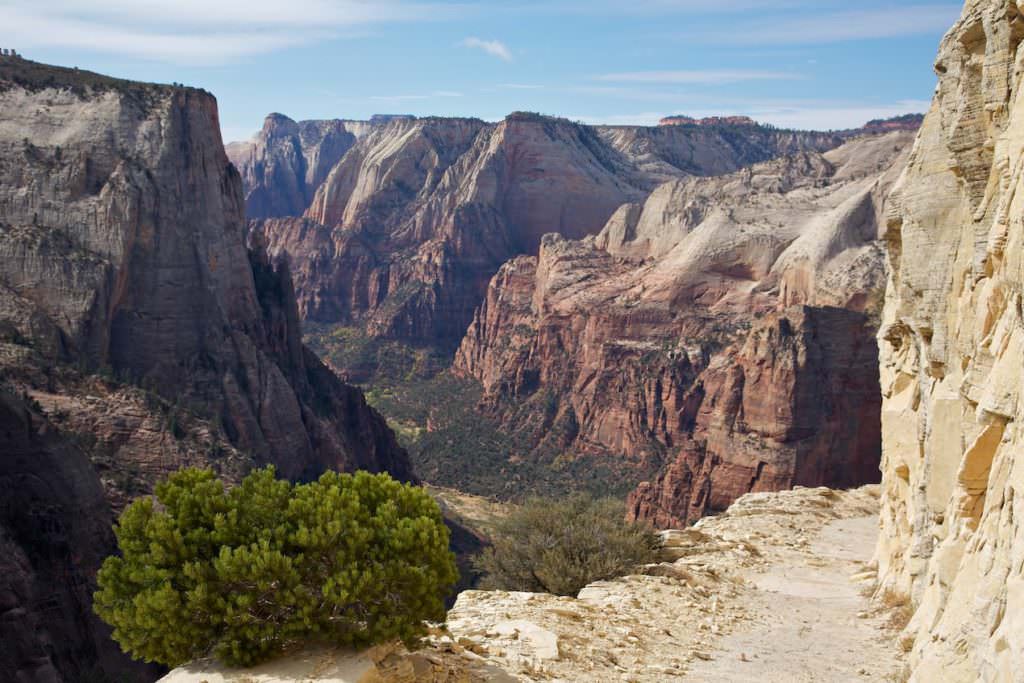 Observation Point