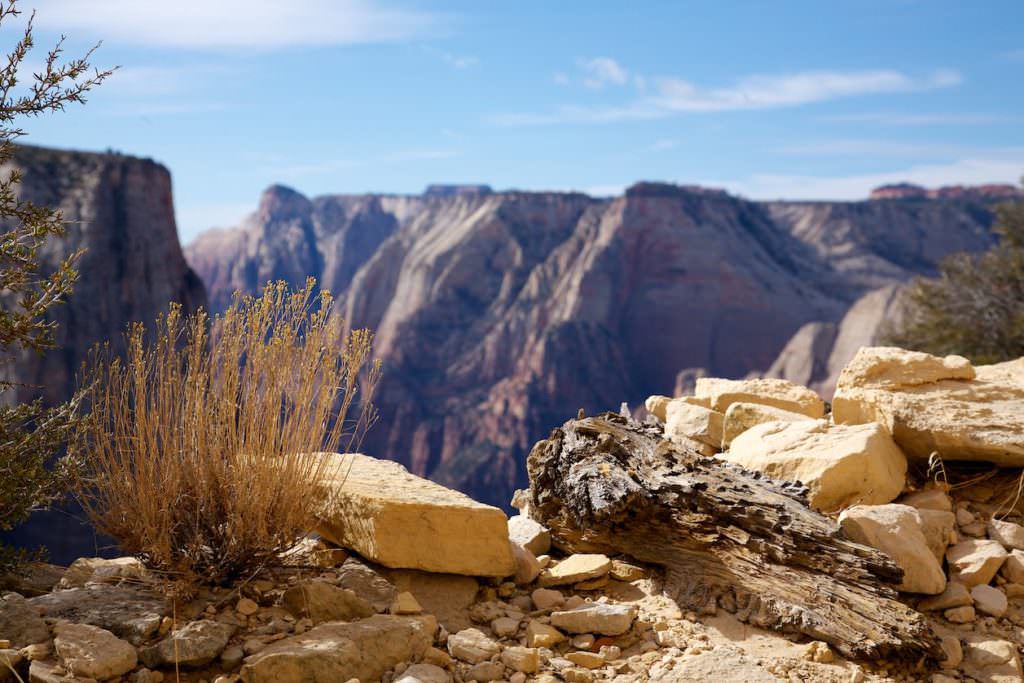 Observation Point