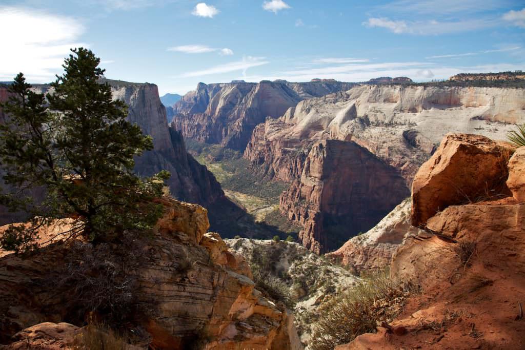 Observation Point