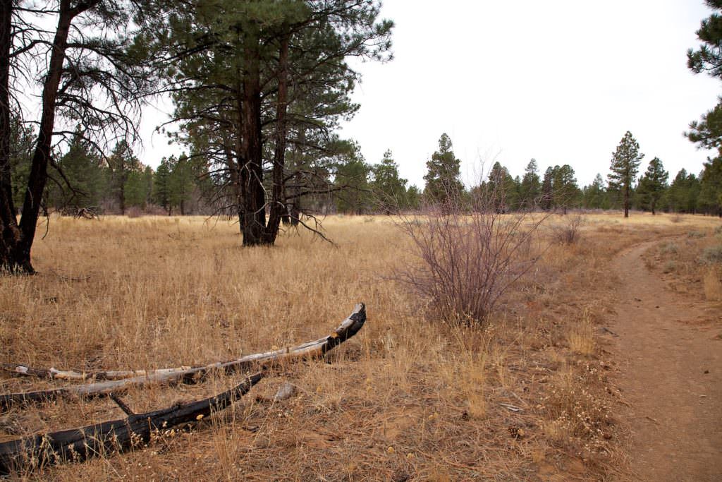 Kolob Terrace Road