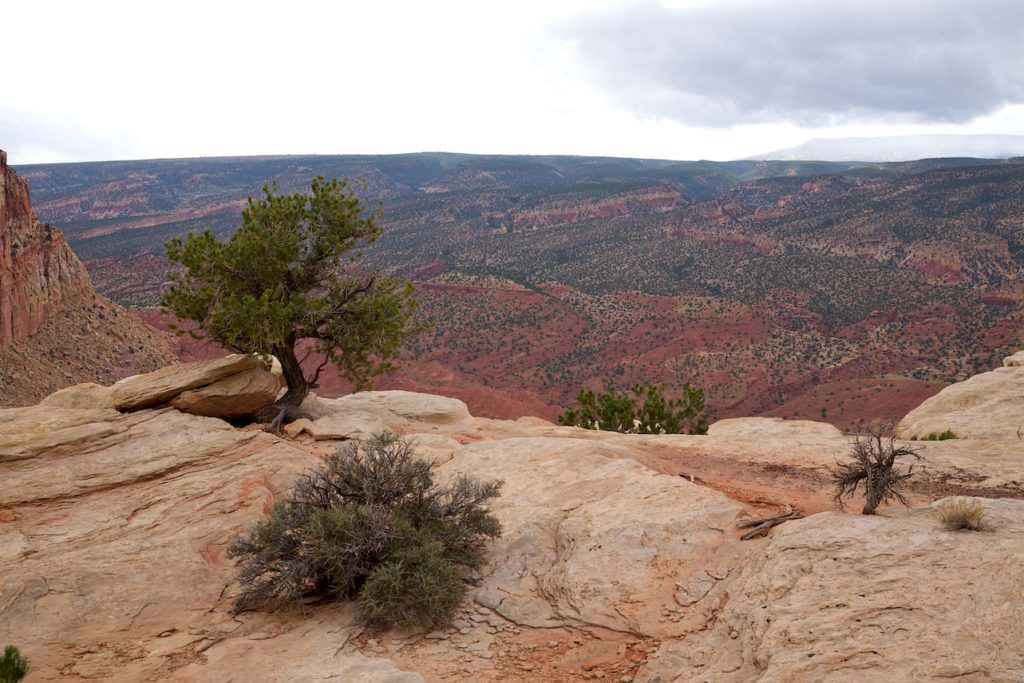 Rim Overlook