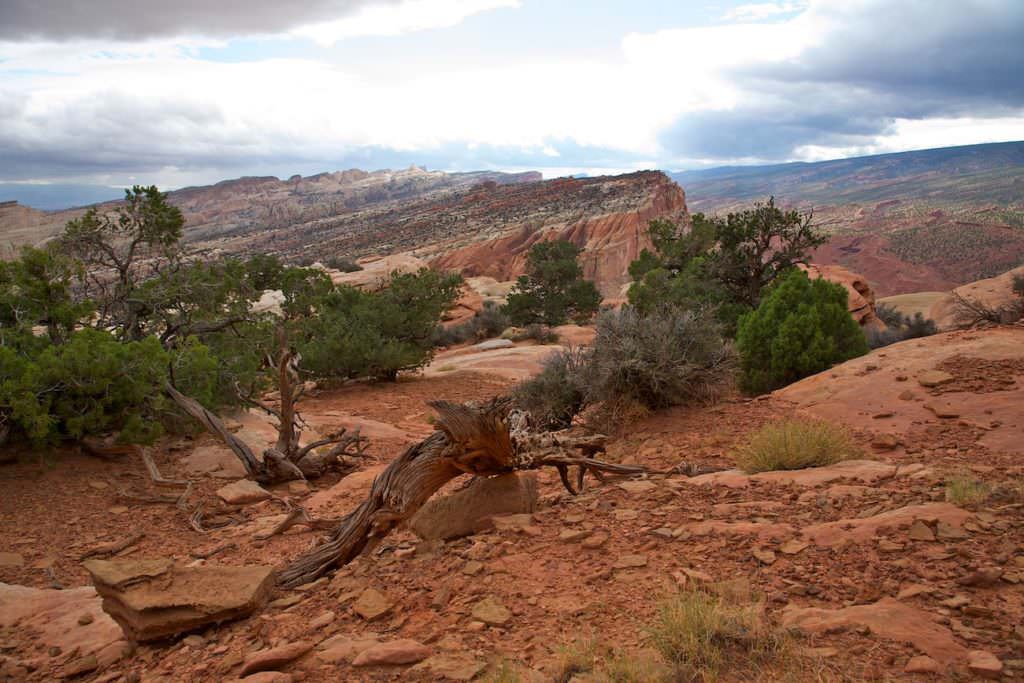 Rim Overlook