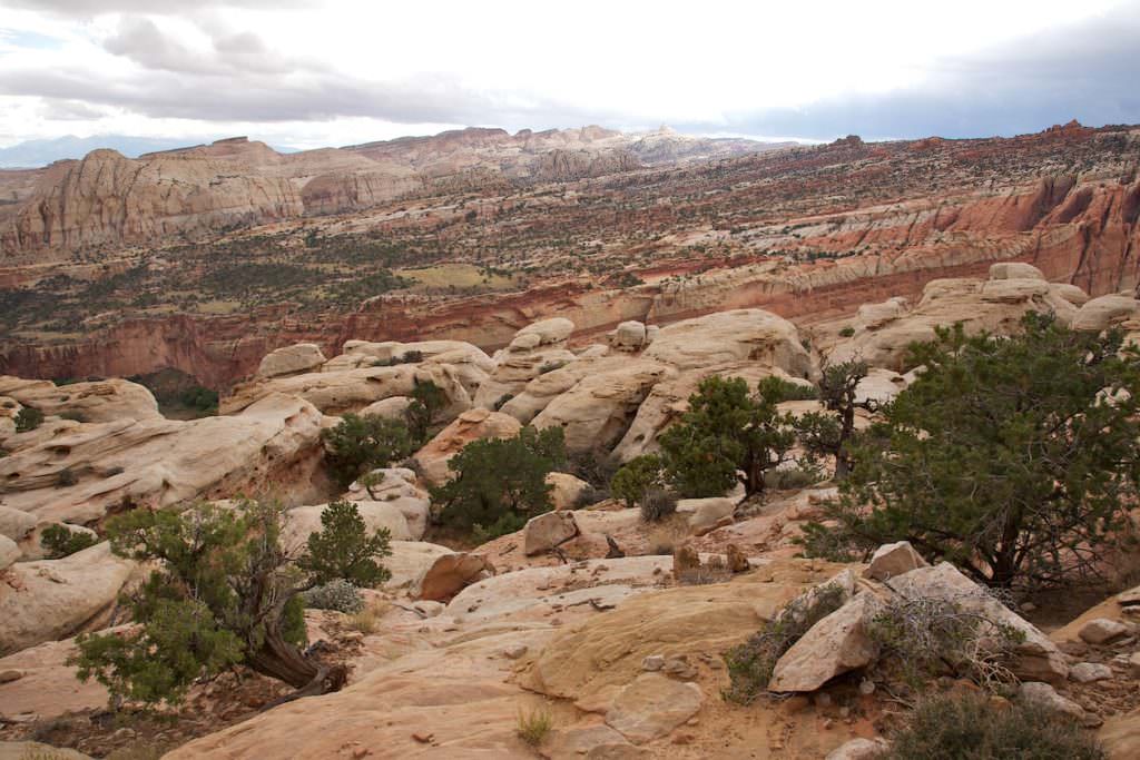 Rim Overlook