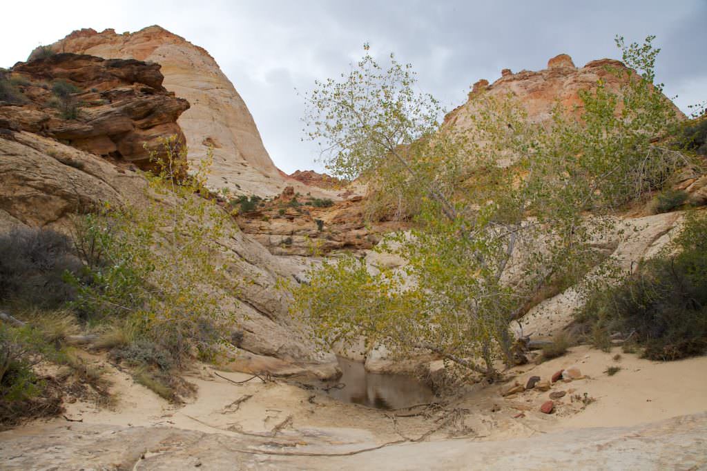 Cathedral Gorge