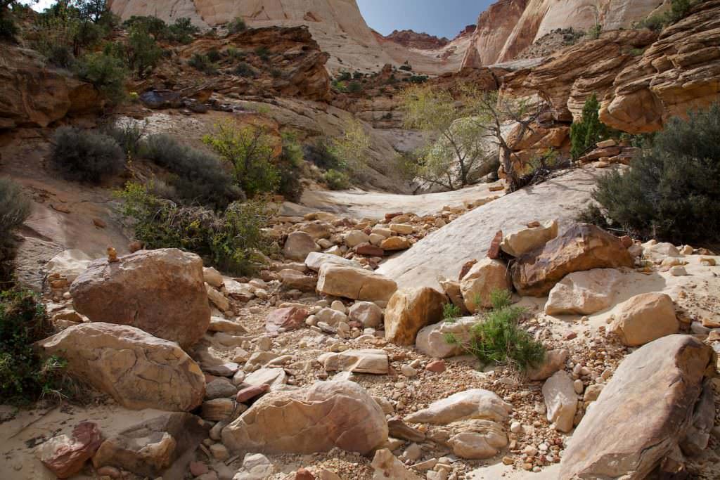 Cathedral Gorge