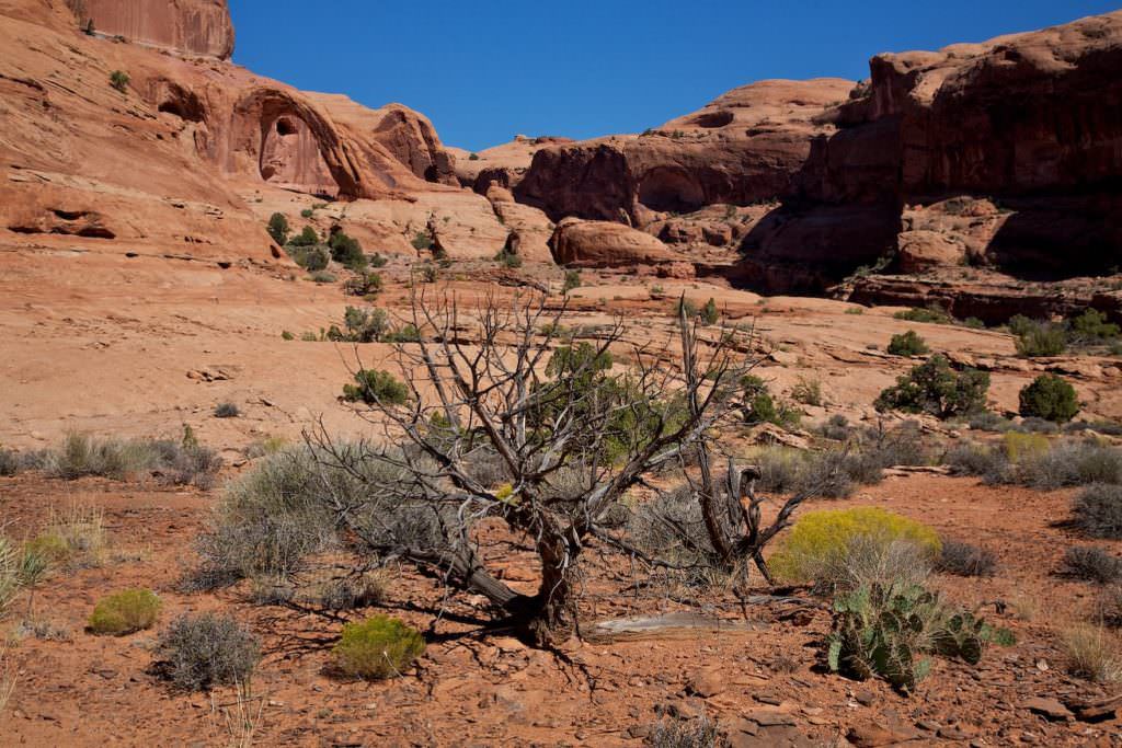 Corona Arch