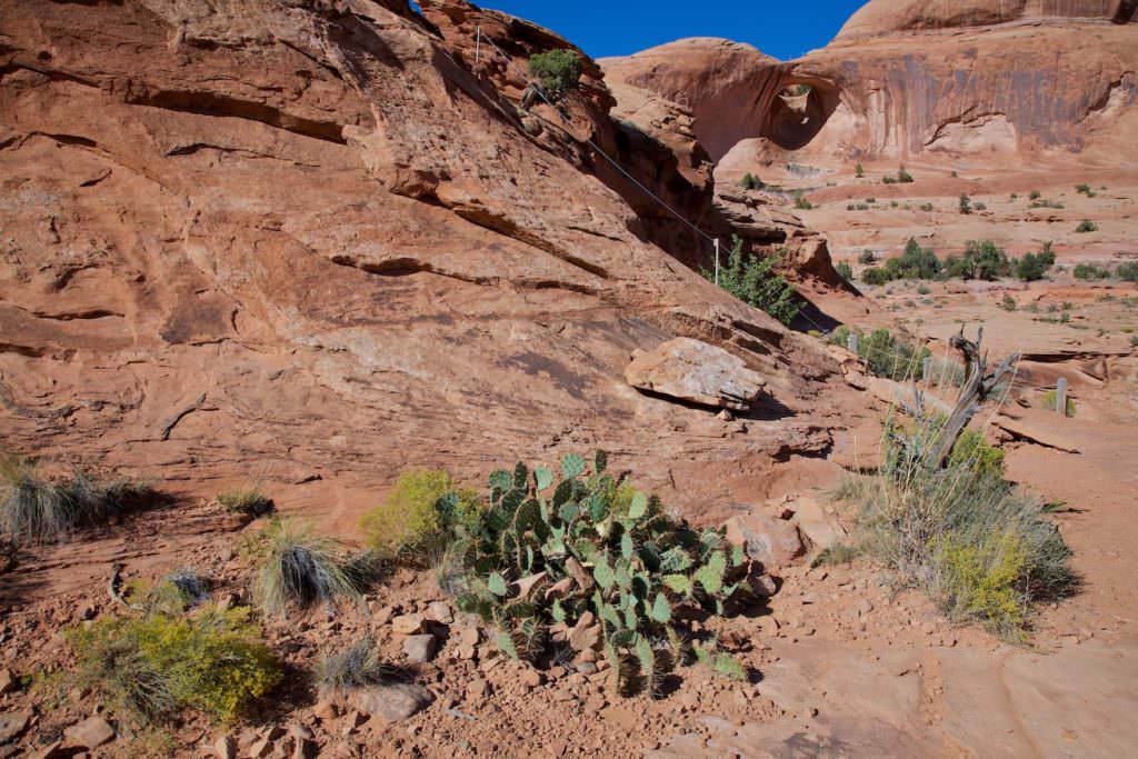 Corona Arch