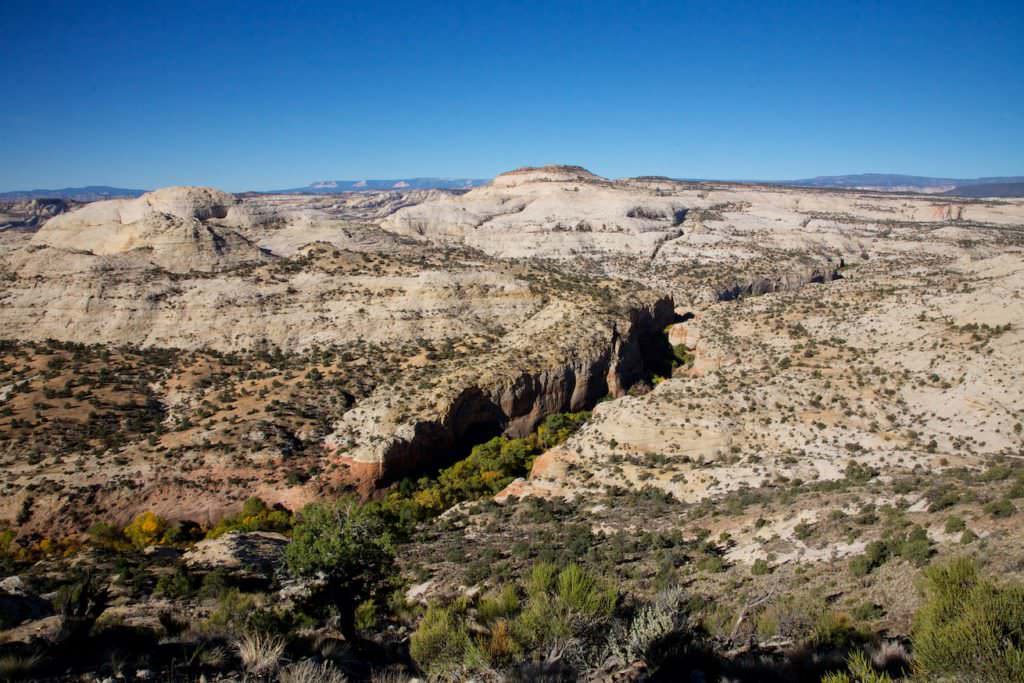 The Hogback