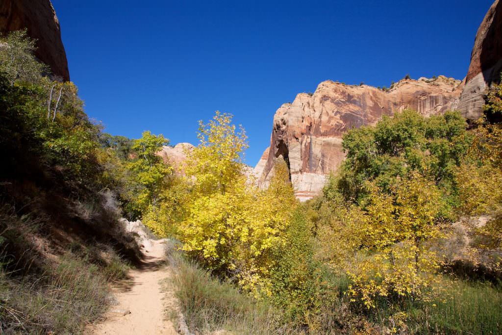 Lower Calf Creek Fall