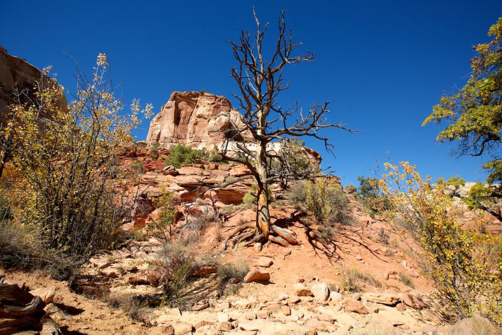 Lower Calf Creek Fall