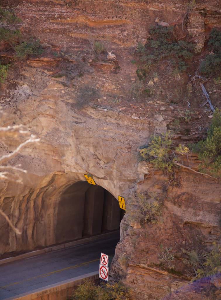 Zion NP