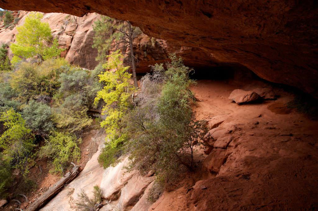 Canyon Overlook