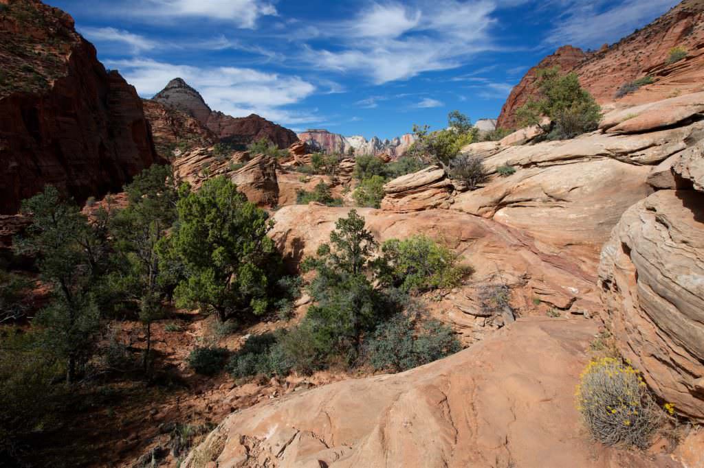 Canyon Overlook