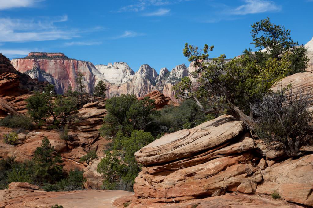 Canyon Overlook