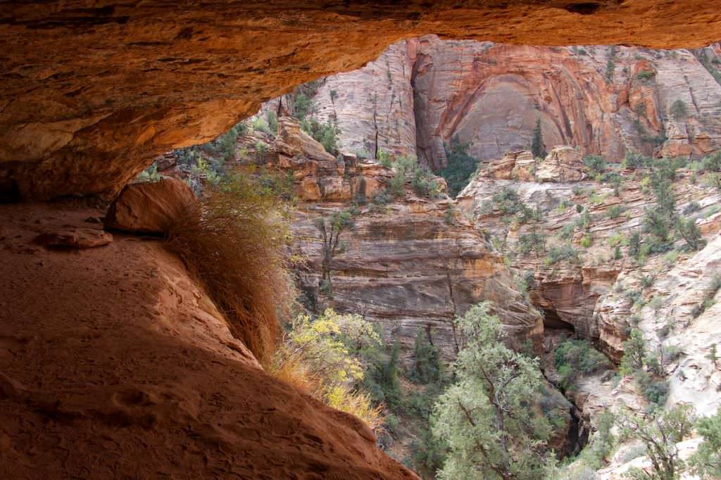 Canyon Overlook