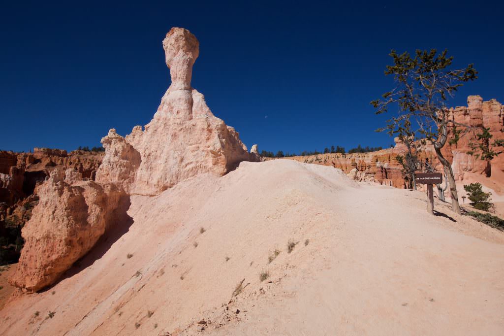 Queen Garden/Navajo Loop