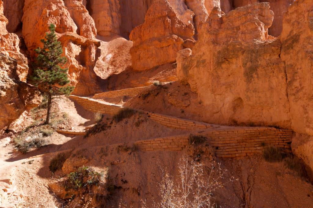 Queen Garden/Navajo Loop