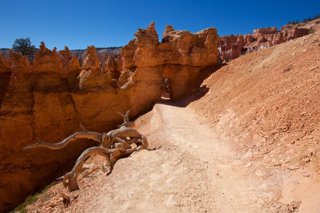 Queen Garden/Navajo Loop