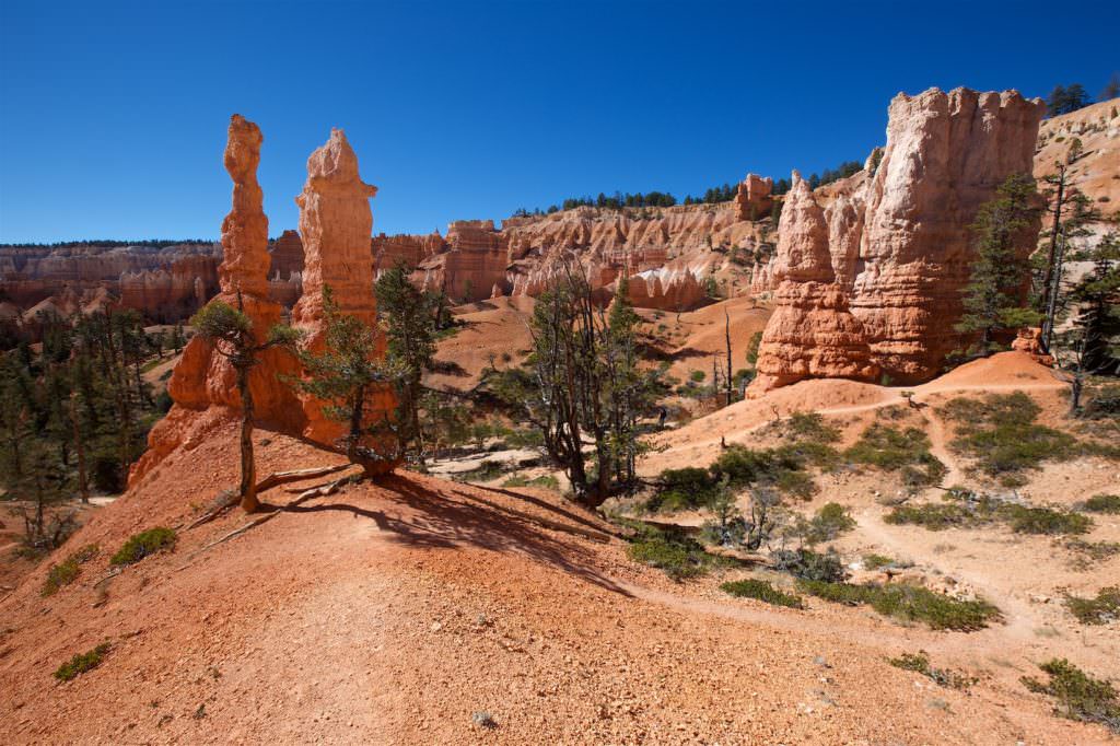 Queen Garden/Navajo Loop