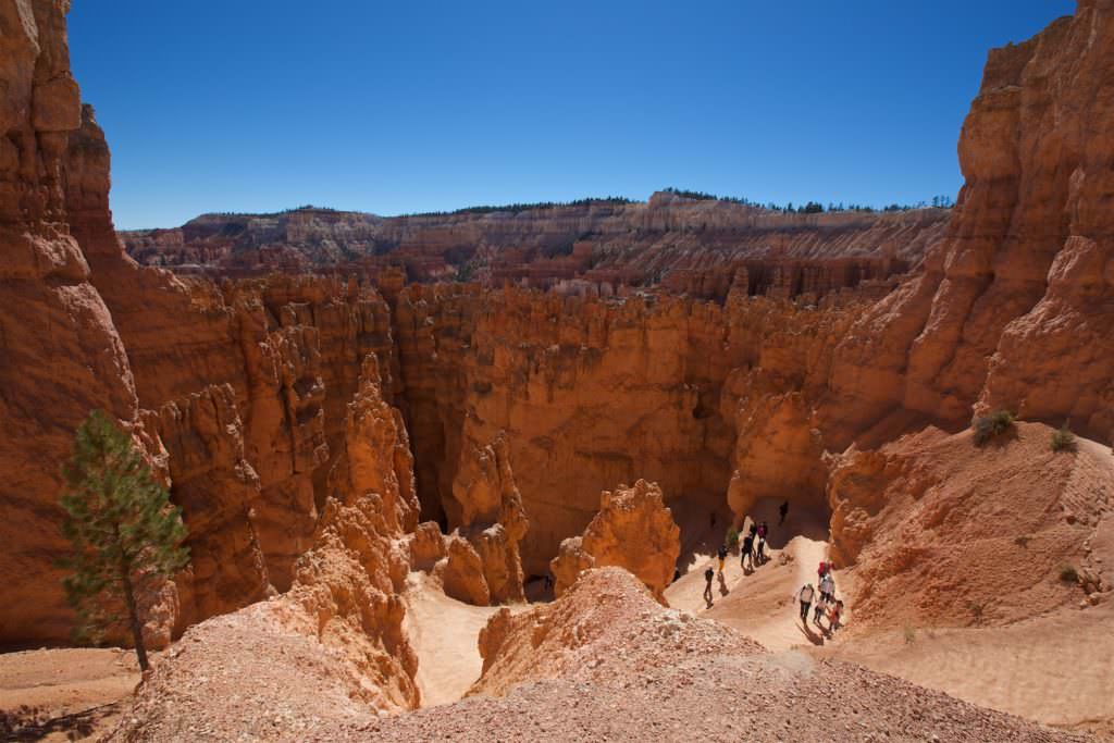 Queen Garden/Navajo Loop