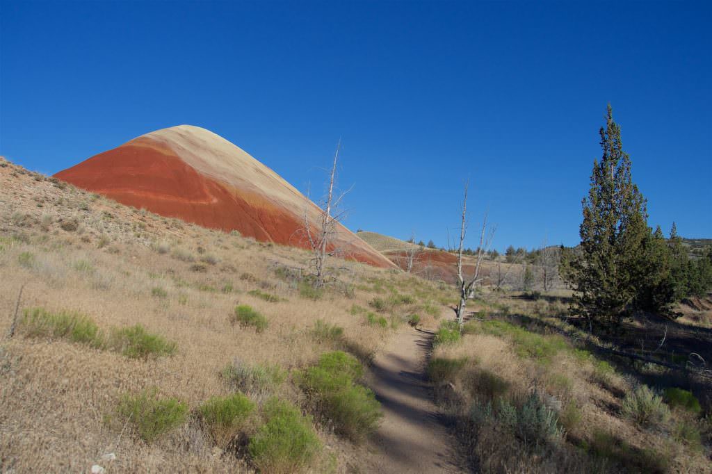 John Day Fossil Beds NM