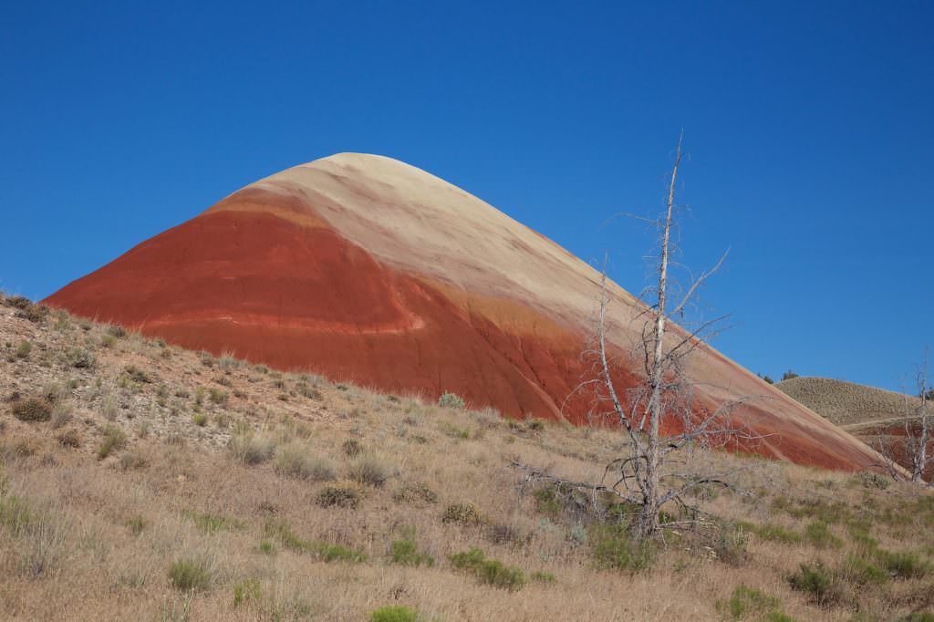 John Day Fossil Beds NM