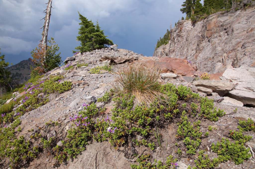 Crater Lake NP