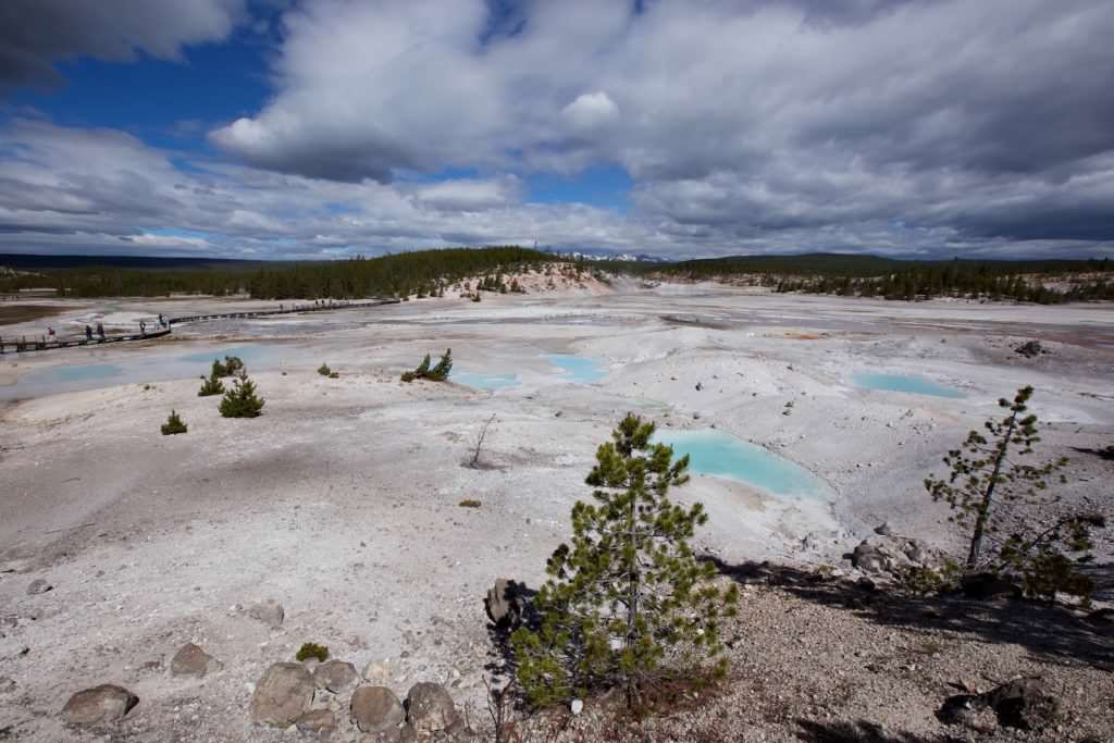 Norris Geyser Basin