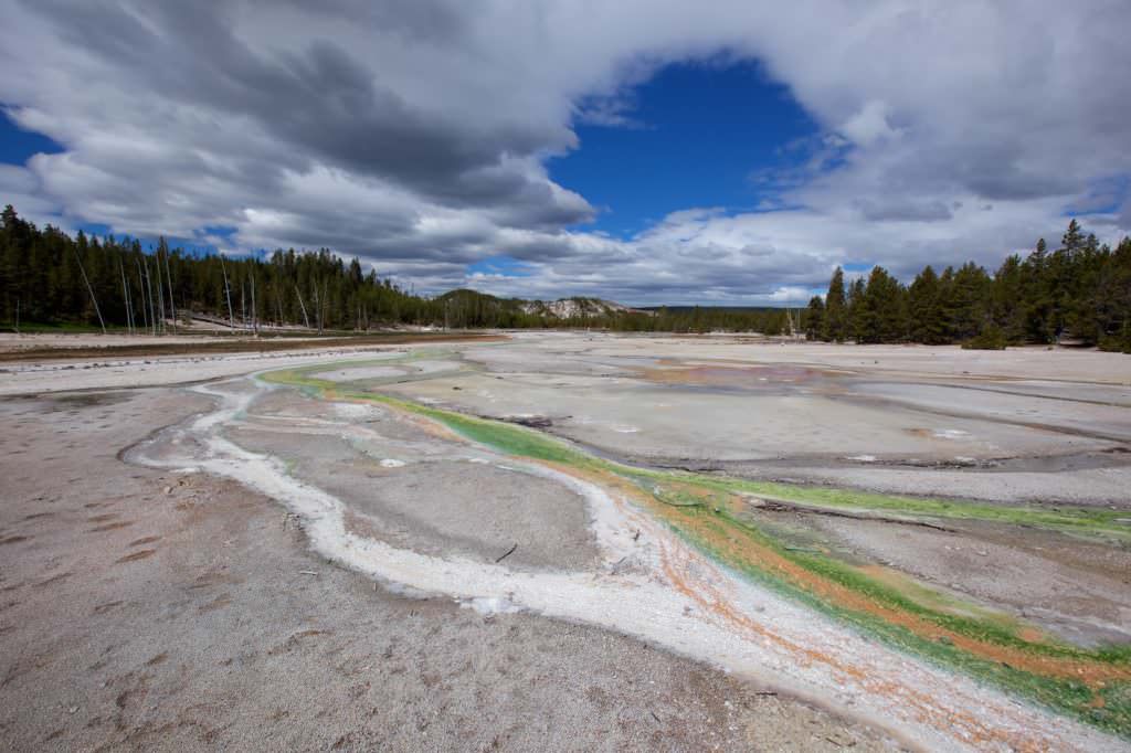 Norris Geyser Basin